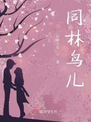 同林鸟歌曲