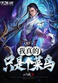 我只是一只菜鸟