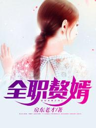 全职赘婿百度百科