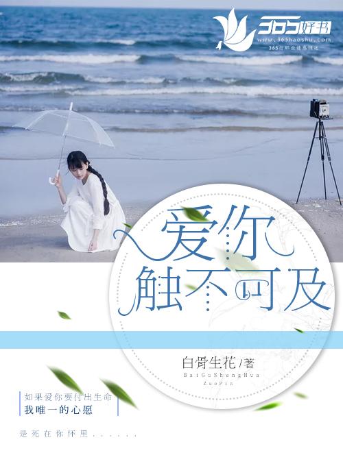 触不可及的你是什么意思